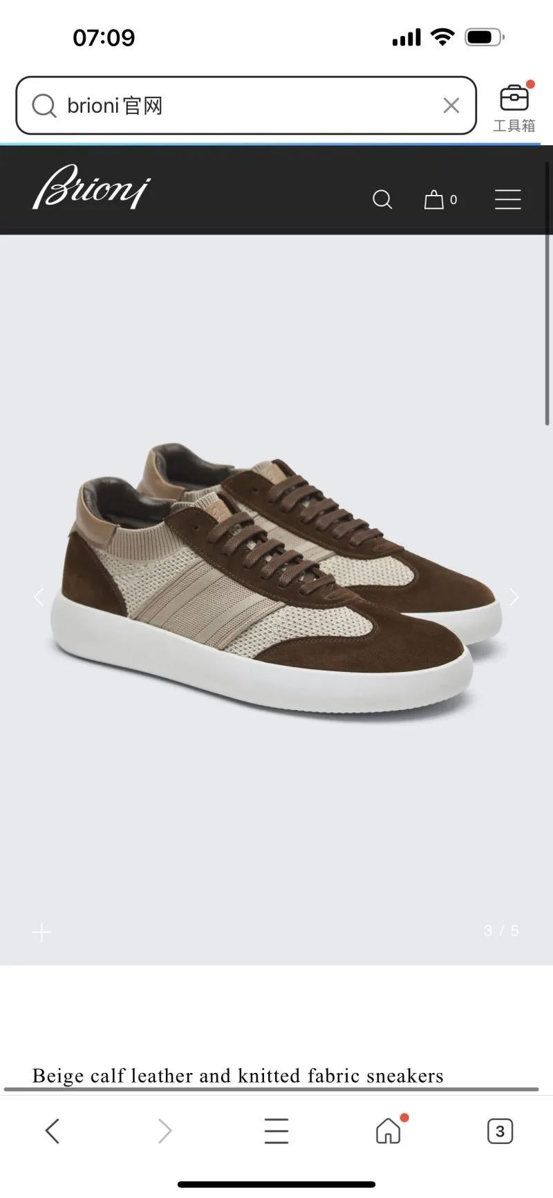 WellDesigned Brioni Shoes 6670