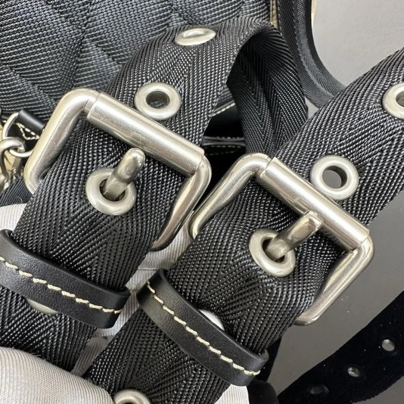 DailyWear Burberry Backpacks 38205