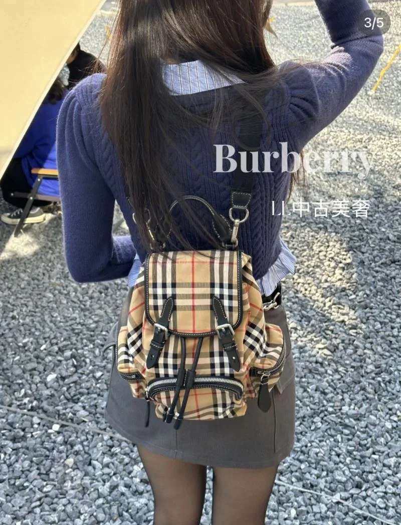 DailyWear Burberry Backpacks 38205
