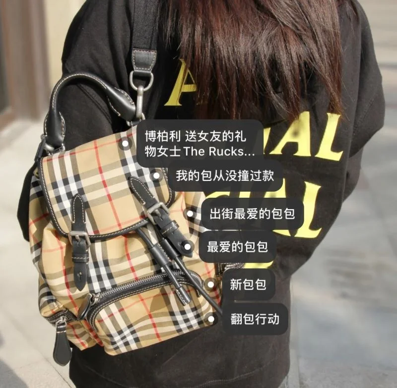 DailyWear Burberry Backpacks 38205