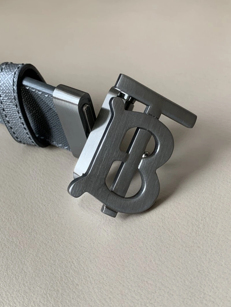 Burberry Belts Colorful 283187