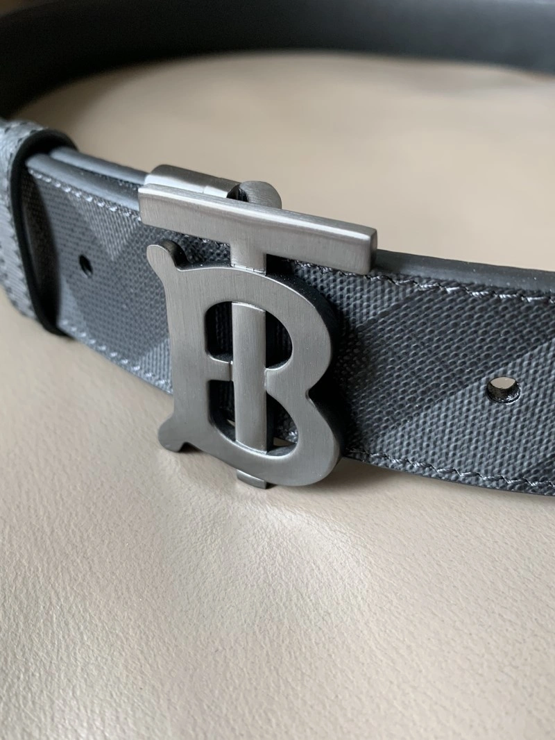 Burberry Belts Colorful 283187