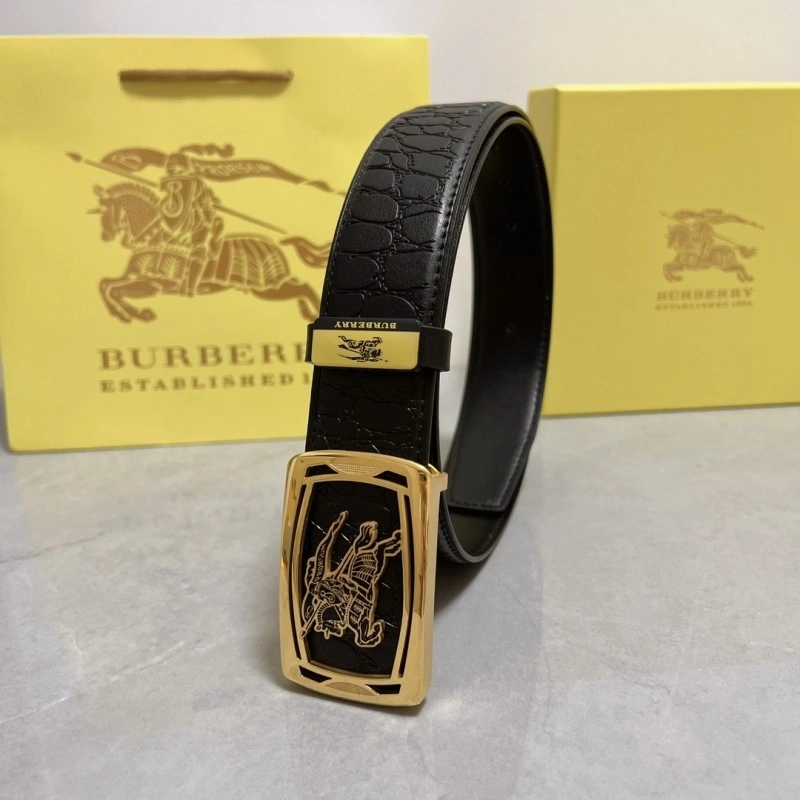 DailyWear Burberry Belts 283161