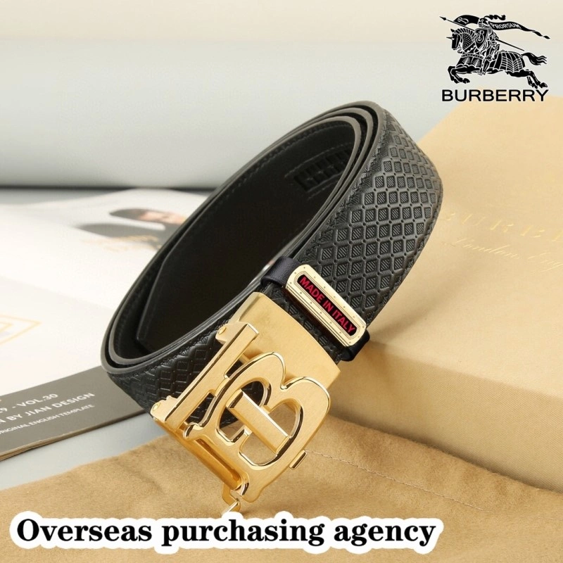 FreshLook Burberry Belts 283386