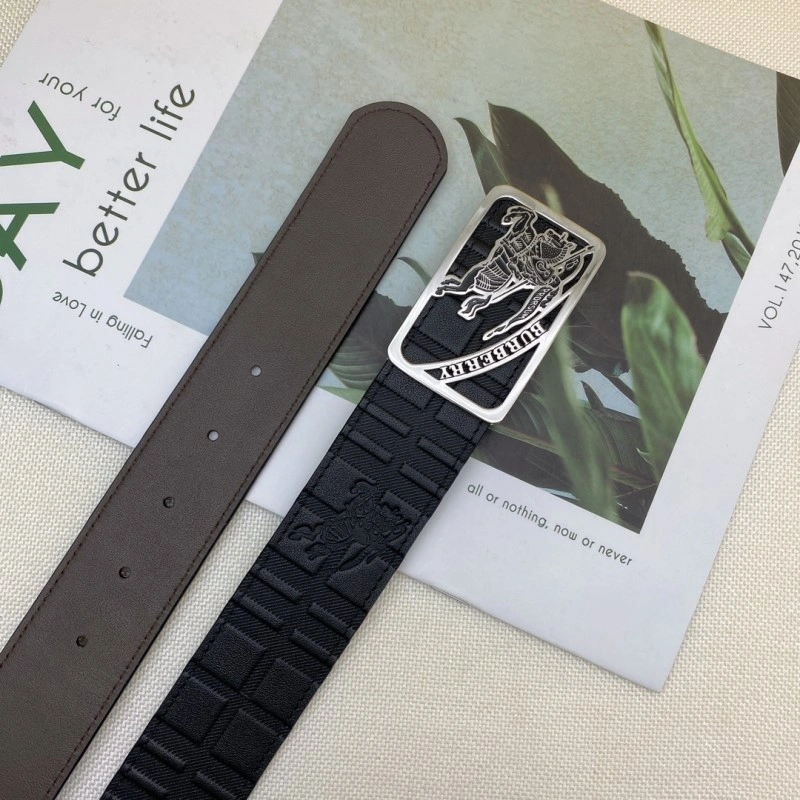 Burberry Belts Minimalist 283357