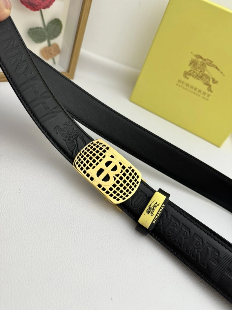 EasyCare Burberry Belts 283328