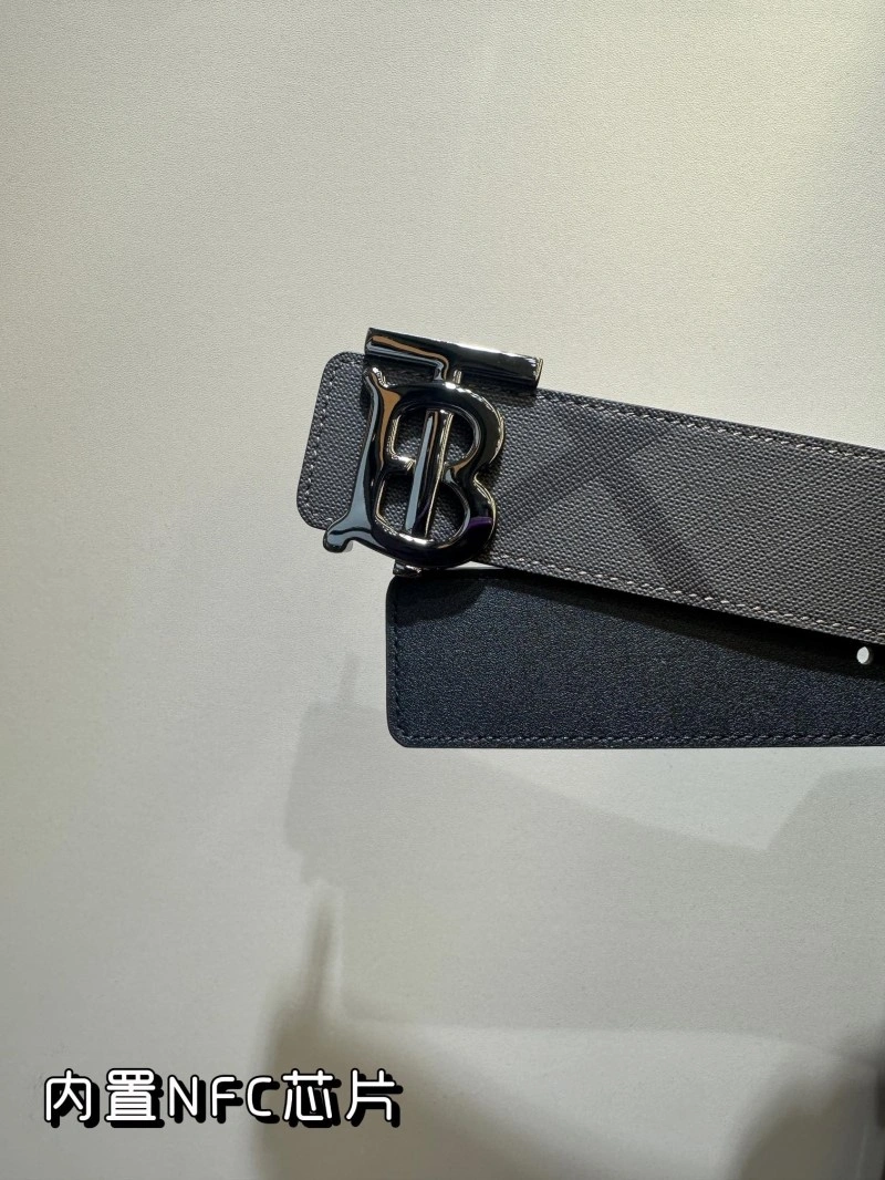 ModernLook Burberry Belts 283320