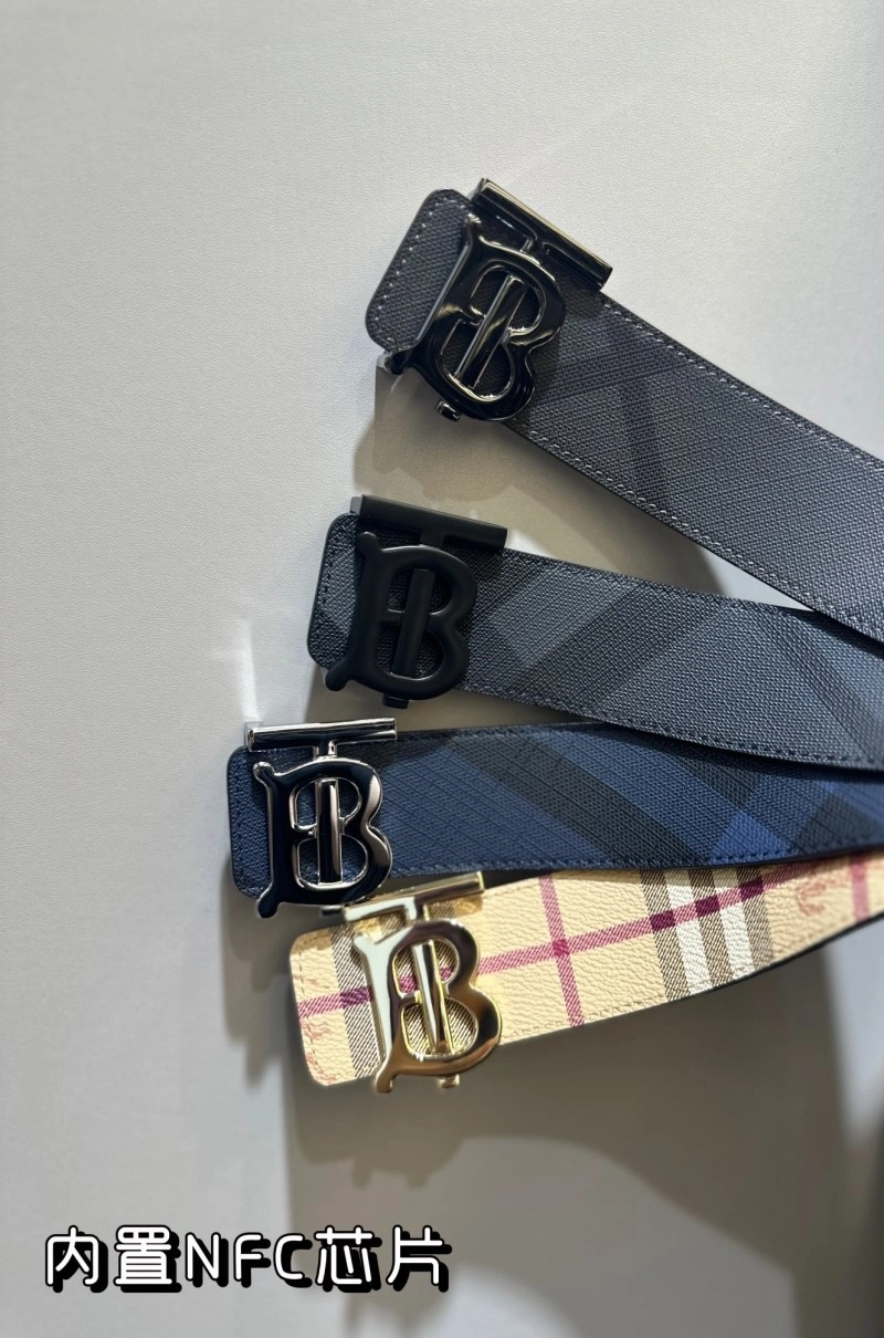 ModernLook Burberry Belts 283320
