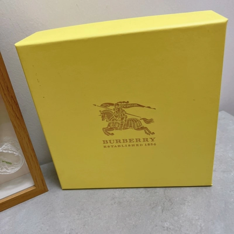 Burberry Belts Vibrant 283316