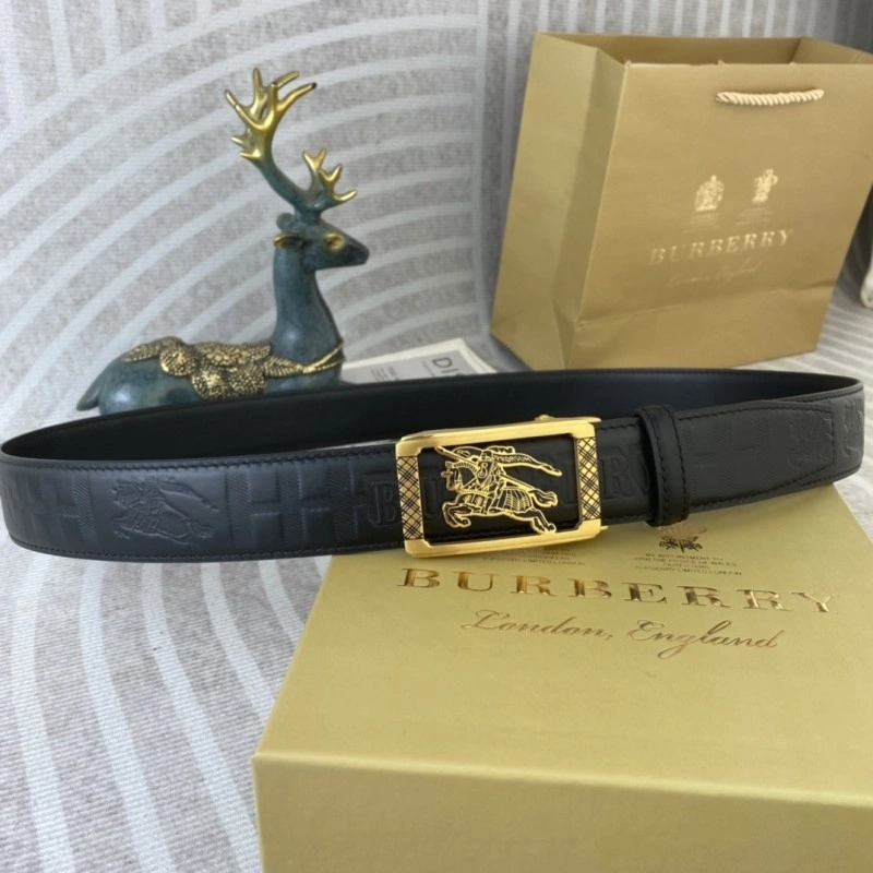 Burberry Belts Minimalist 283300