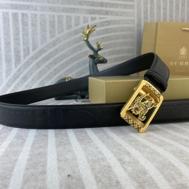 Burberry Belts Minimalist 283300