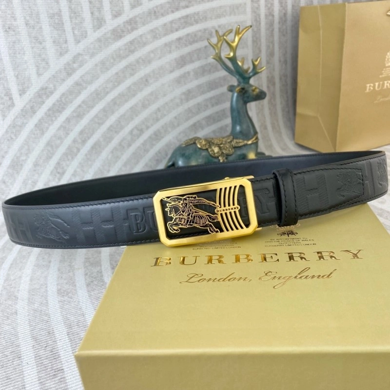 ModernLook Burberry Belts 283301