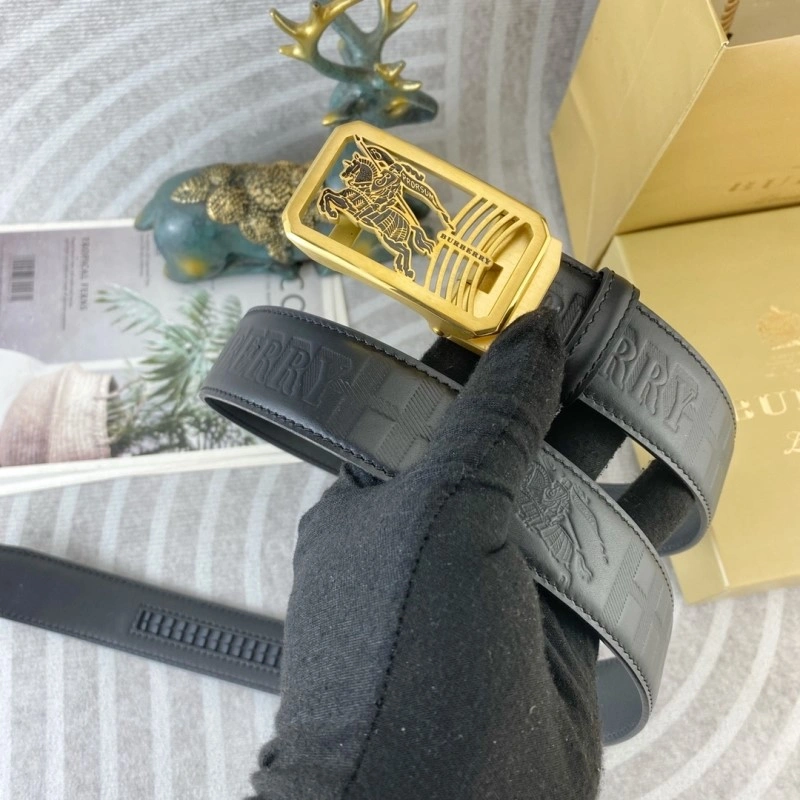 ModernLook Burberry Belts 283301