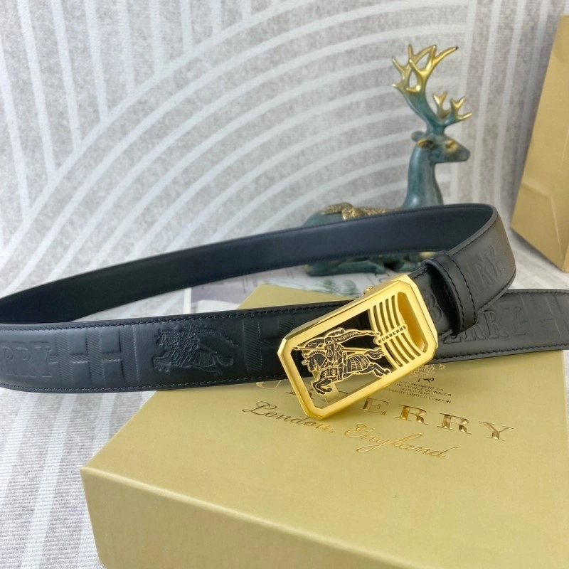 ModernLook Burberry Belts 283301