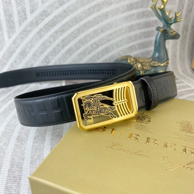 ModernLook Burberry Belts 283301