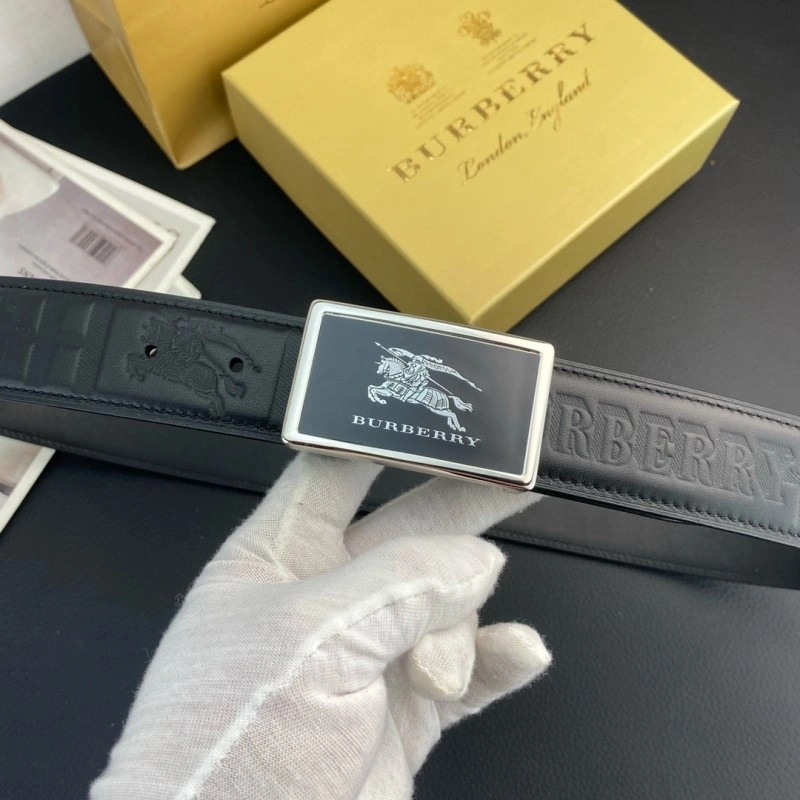 ModernLook Burberry Belts 283279