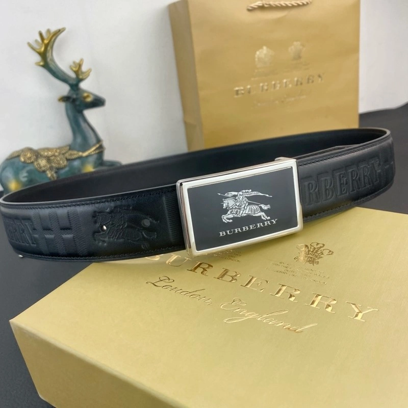 ModernLook Burberry Belts 283279