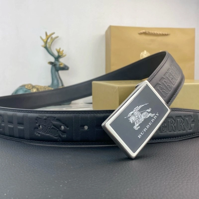ModernLook Burberry Belts 283279