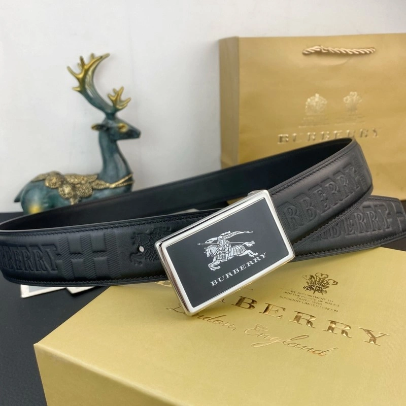 ModernLook Burberry Belts 283279