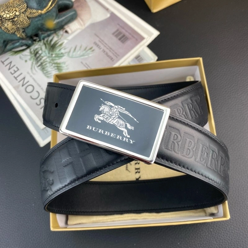 ModernLook Burberry Belts 283279