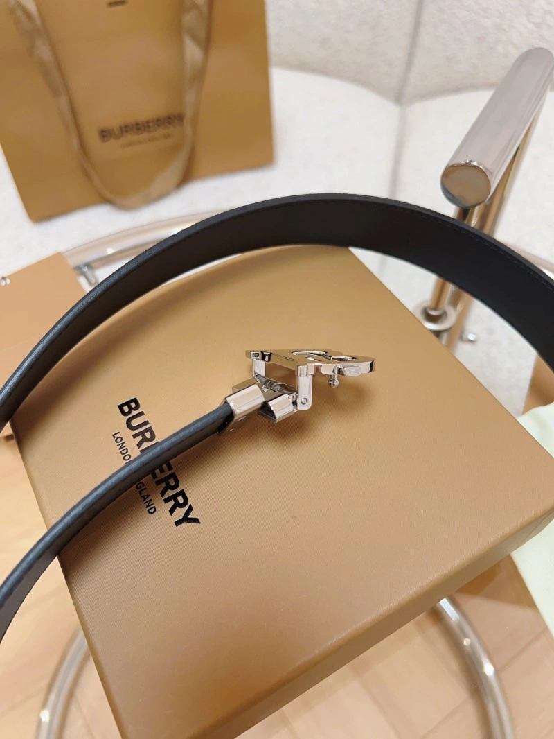 Burberry Belts Trendsetting 283135