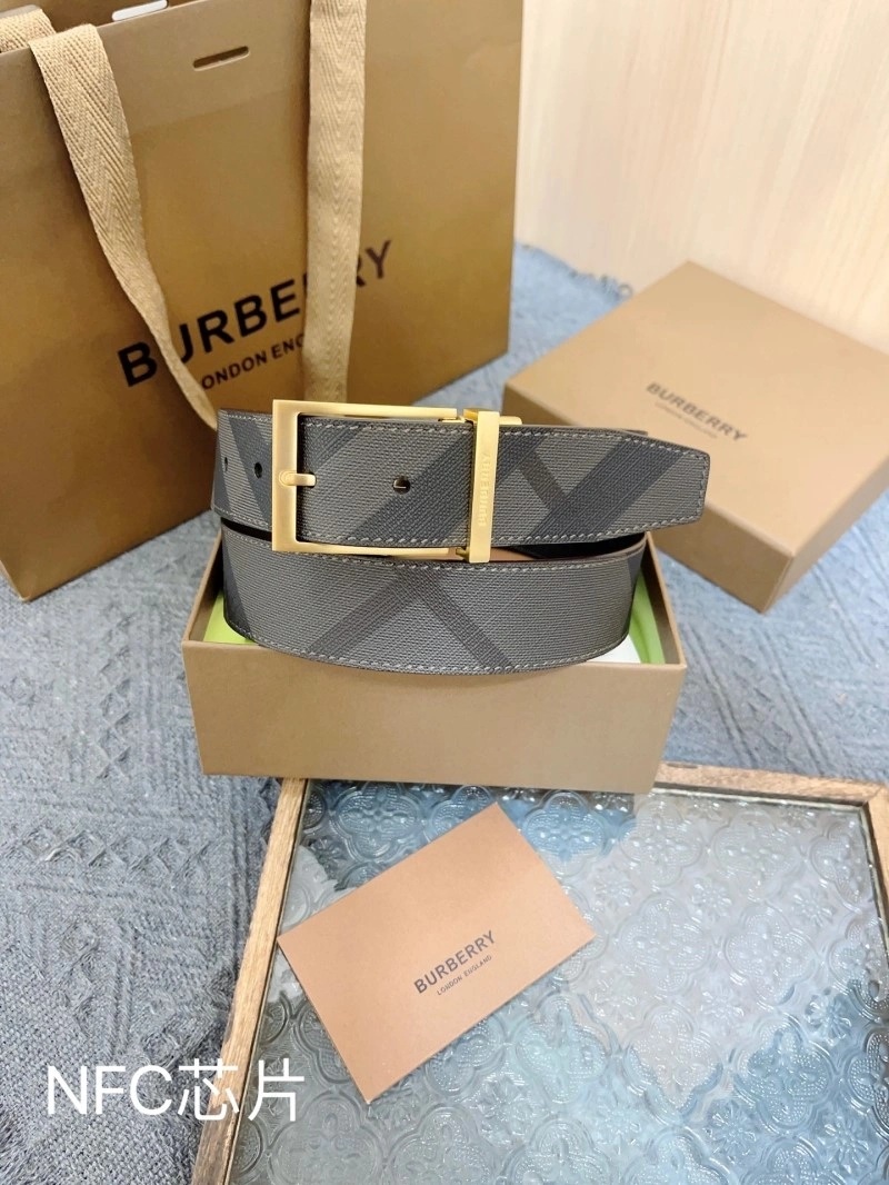 FreshLook Burberry Belts 283092