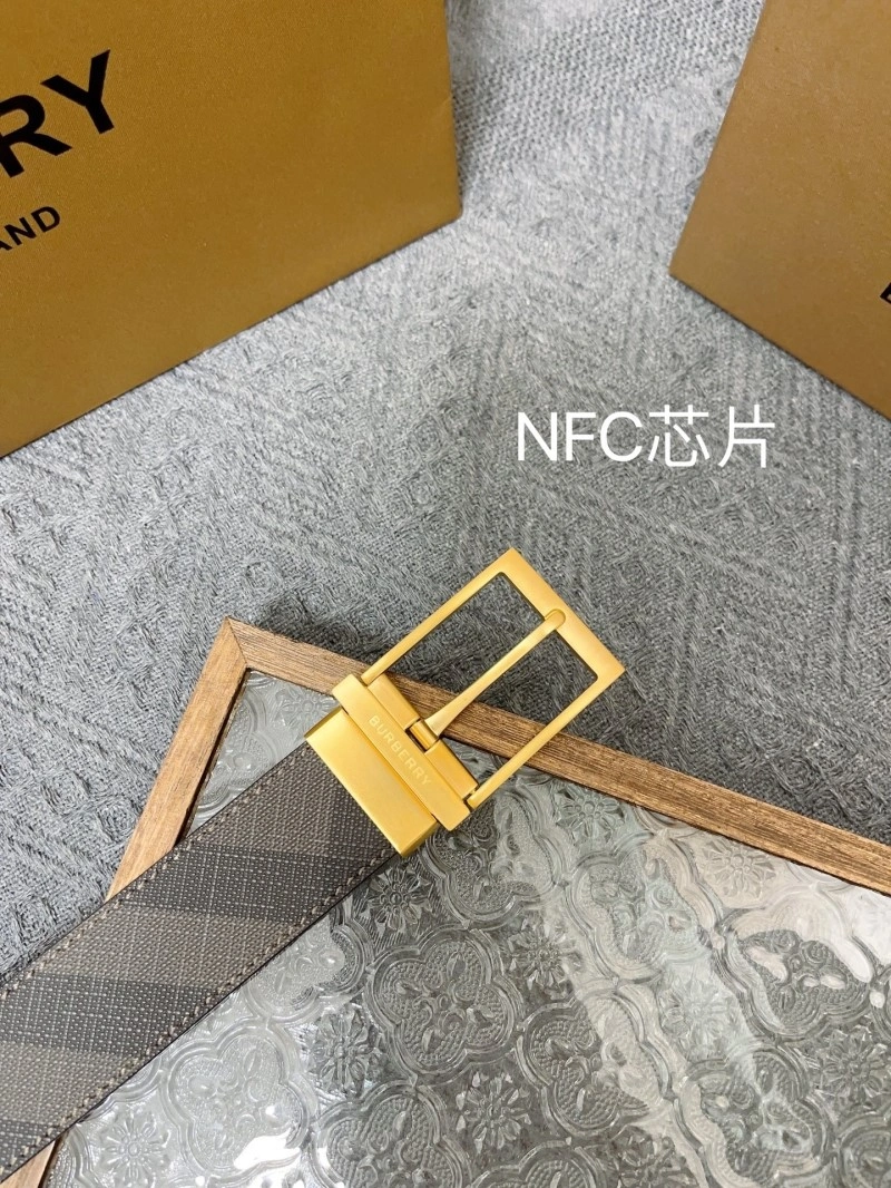 FreshLook Burberry Belts 283092