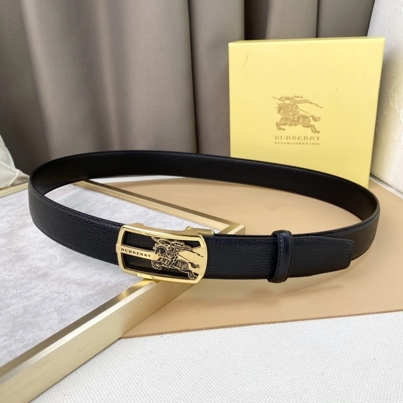 GoAnywhere Burberry Belts 283053