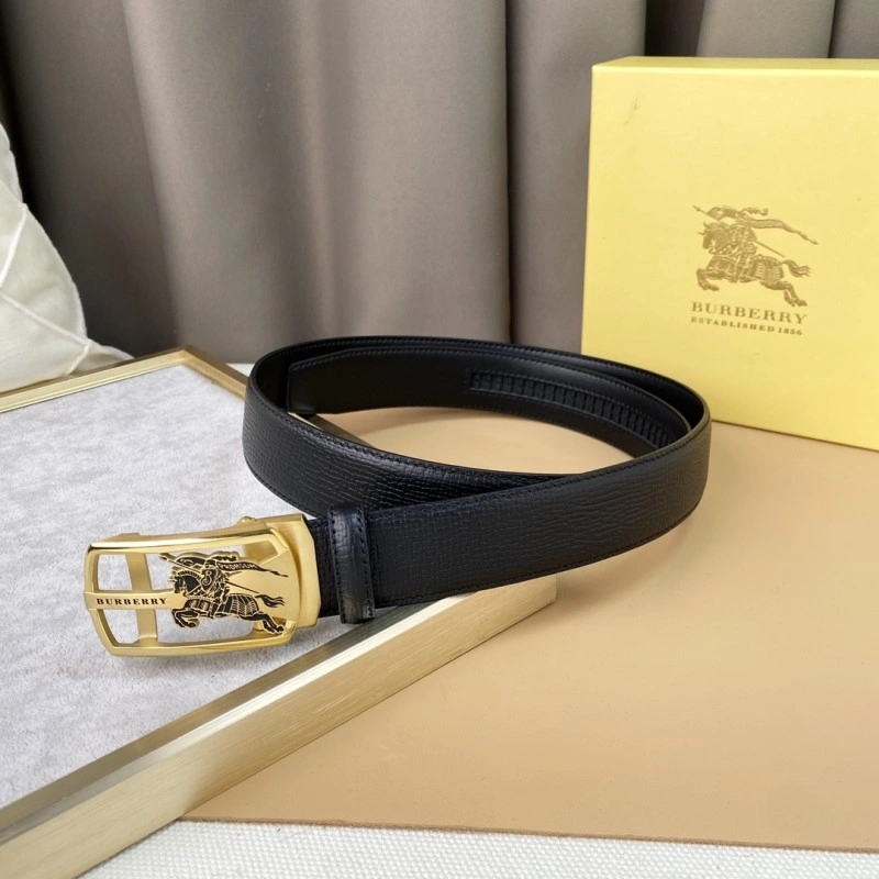 GoAnywhere Burberry Belts 283053
