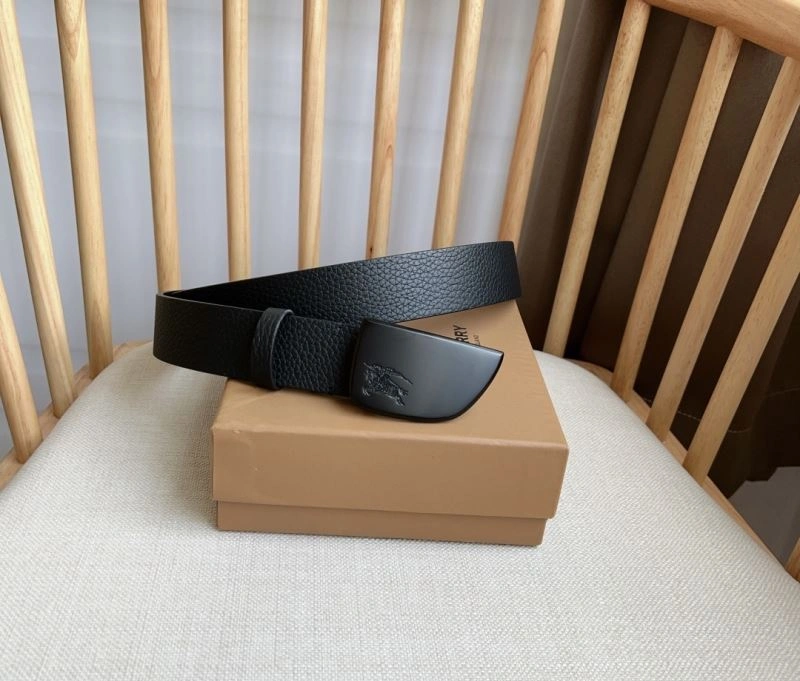 Burberry Belts Colorful 283555