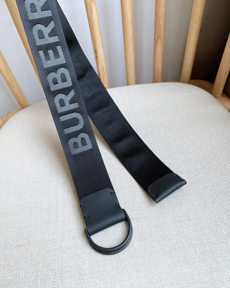 Practical Burberry Belts 283513