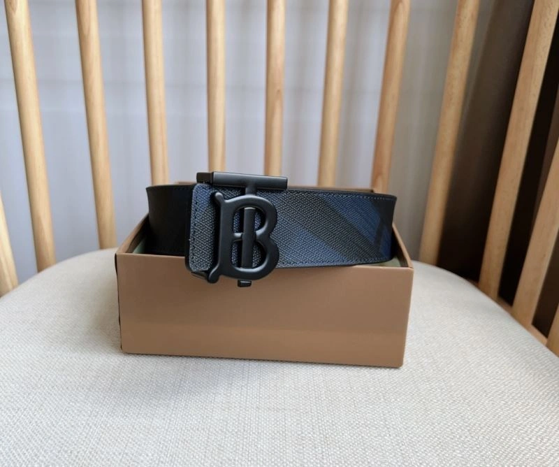 DailyWear Burberry Belts 283474