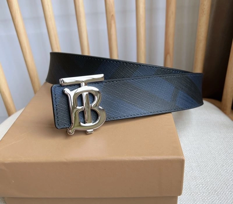 FreshLook Burberry Belts 283455