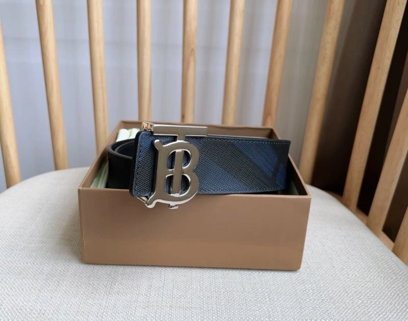 FreshLook Burberry Belts 283455