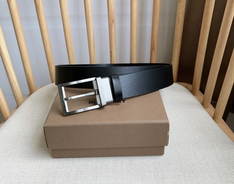Burberry Belts GoAnywhere 283047