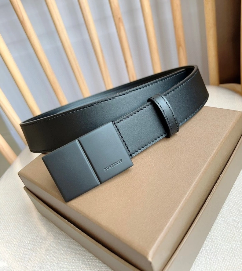 DailyWear Burberry Belts 283033