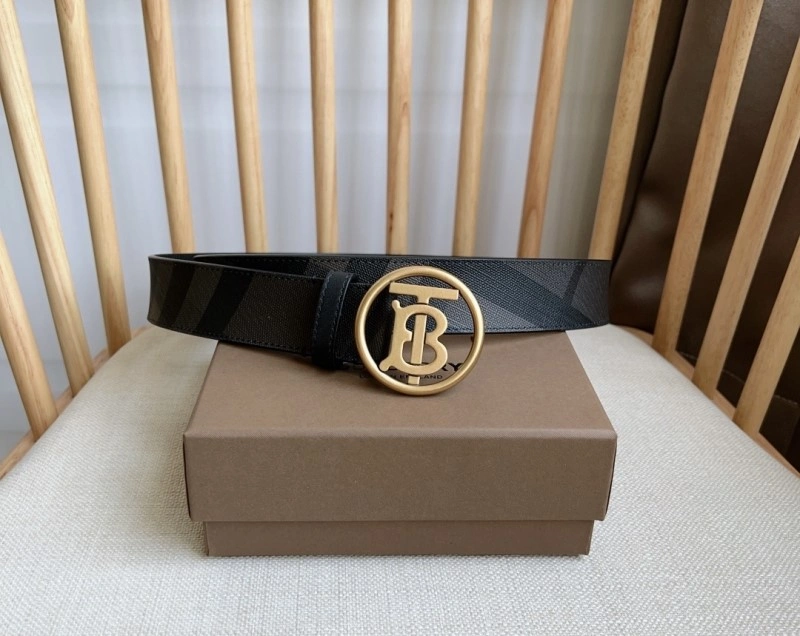 Burberry Belts Colorful 283019