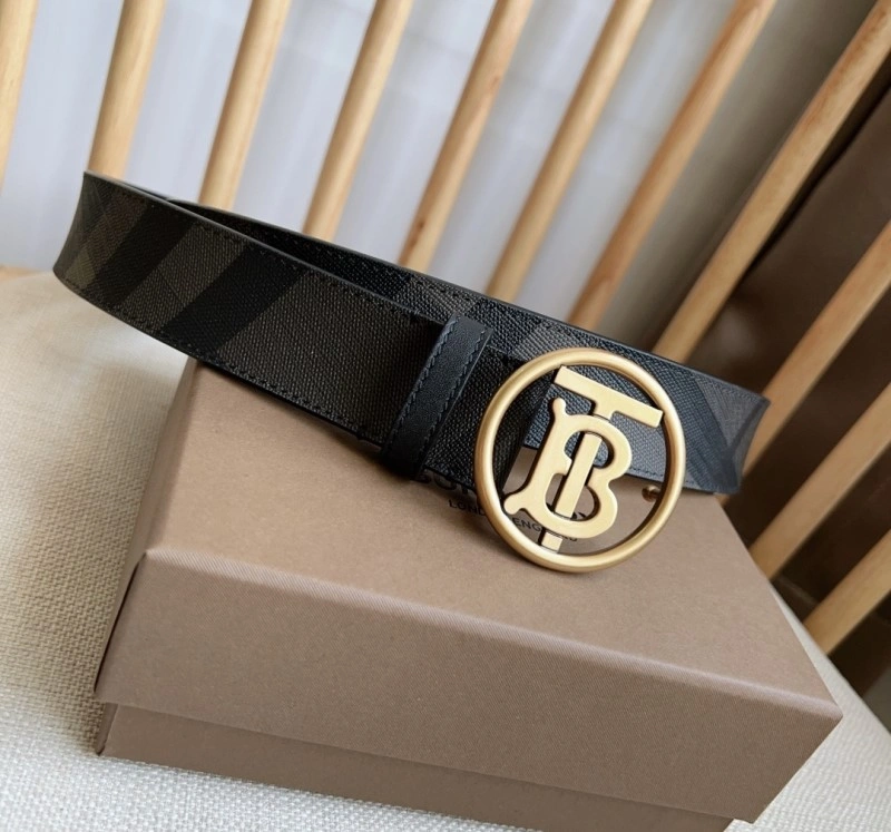 Burberry Belts Colorful 283019
