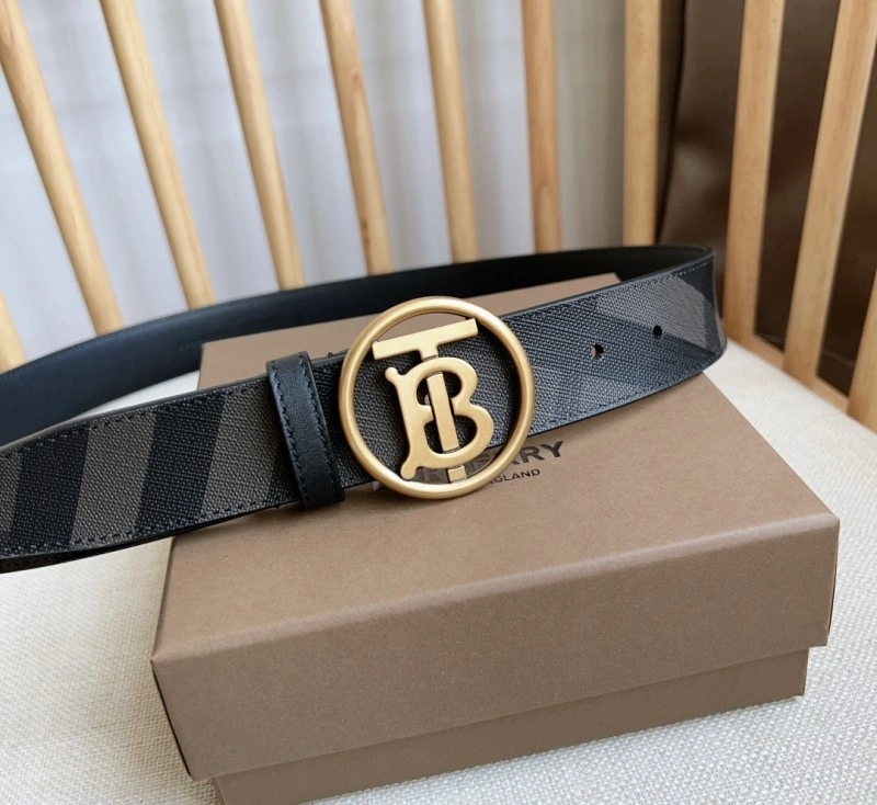 Burberry Belts Colorful 283019