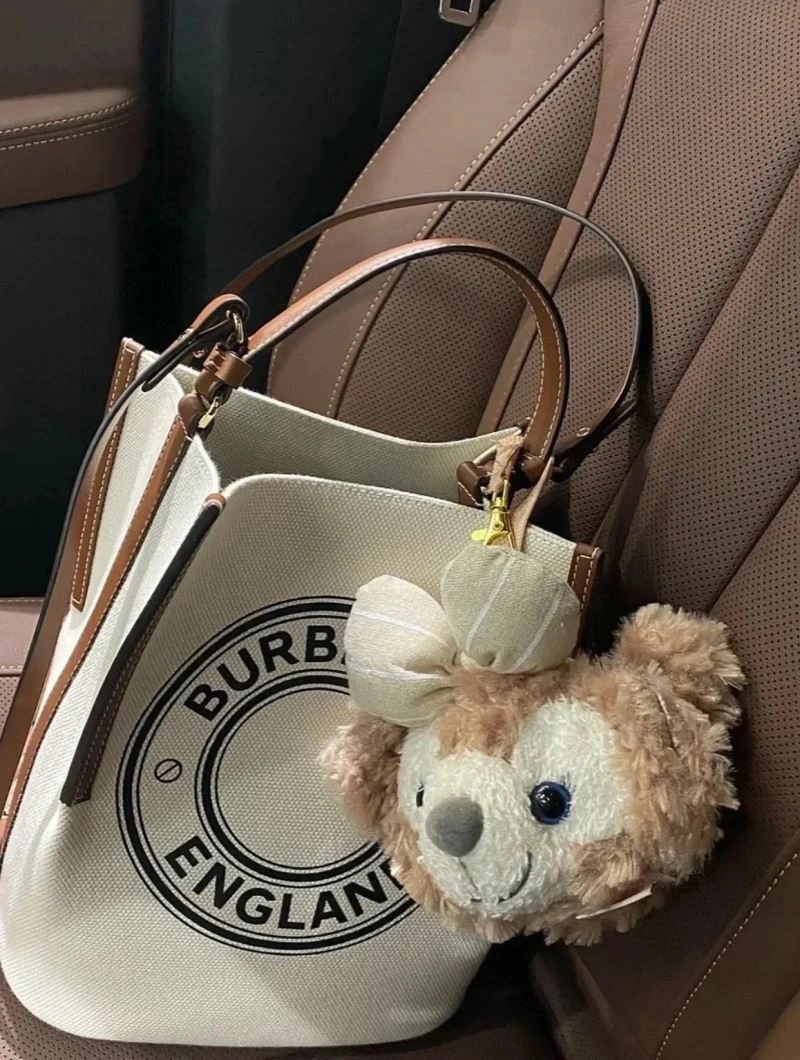 Flexible Burberry Bucket Bags 64712