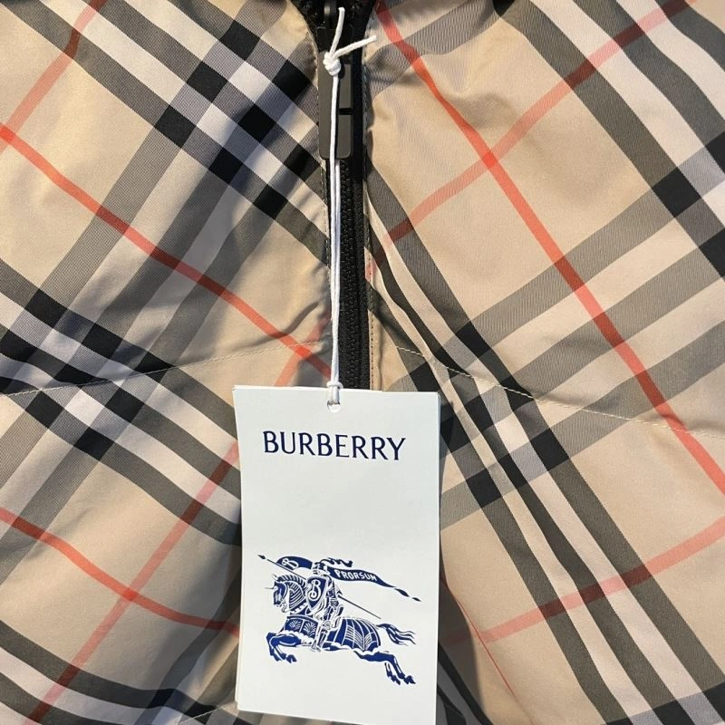 OdorResistant Burberry Down Jackets 102326