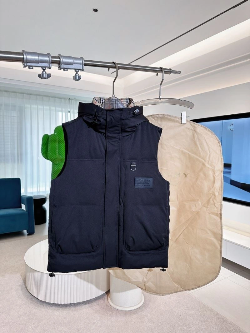GoAnywhere Burberry Down Jackets 105859