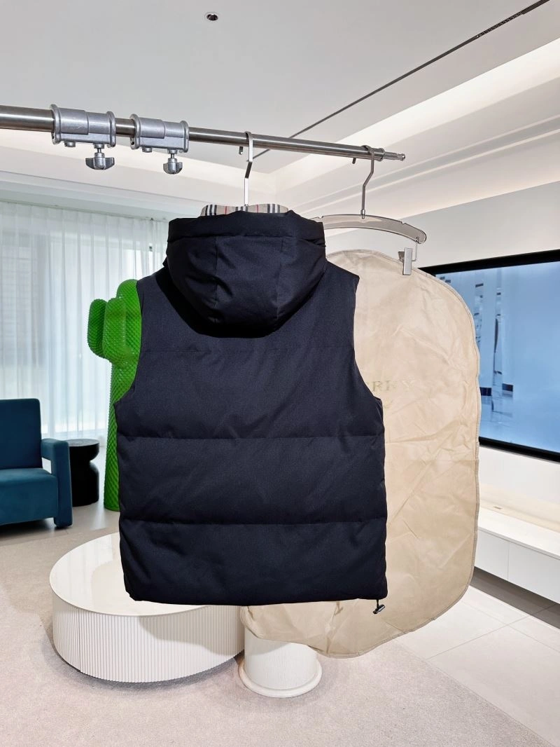 GoAnywhere Burberry Down Jackets 105859