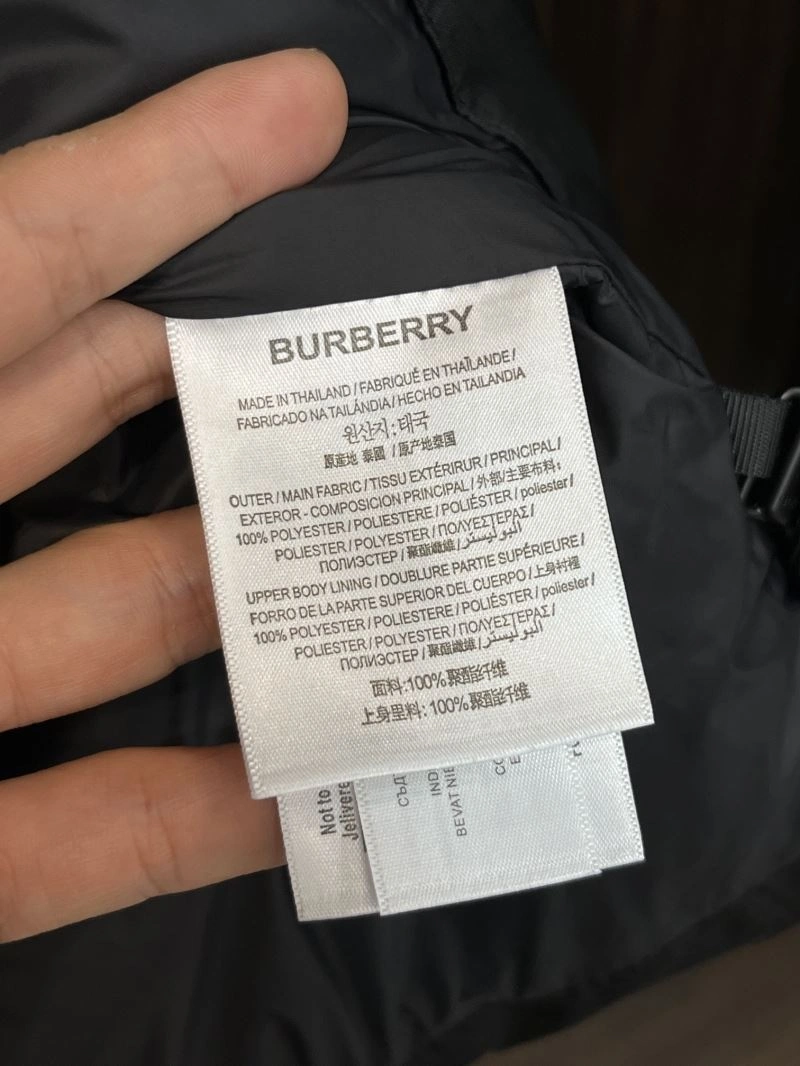 Burberry Down Jackets Efficient 105840