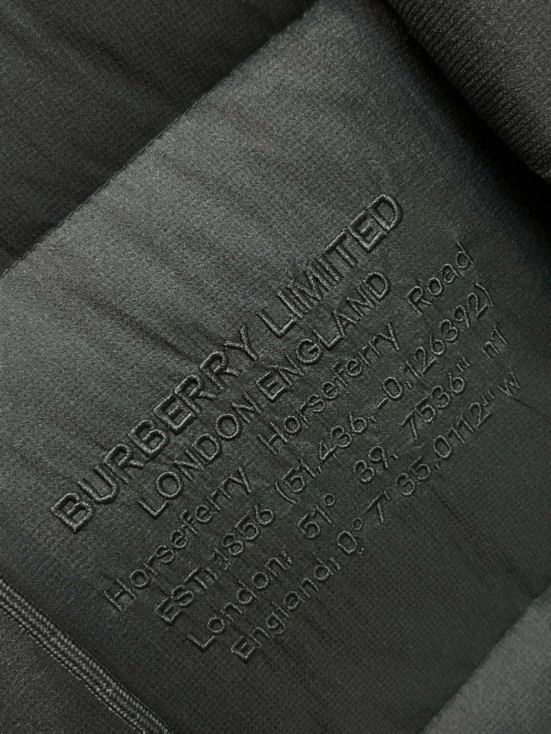 Burberry Down Jackets Efficient 105840