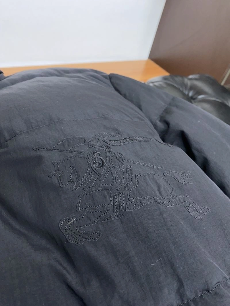 Burberry Down Jackets WrinkleFree 100831