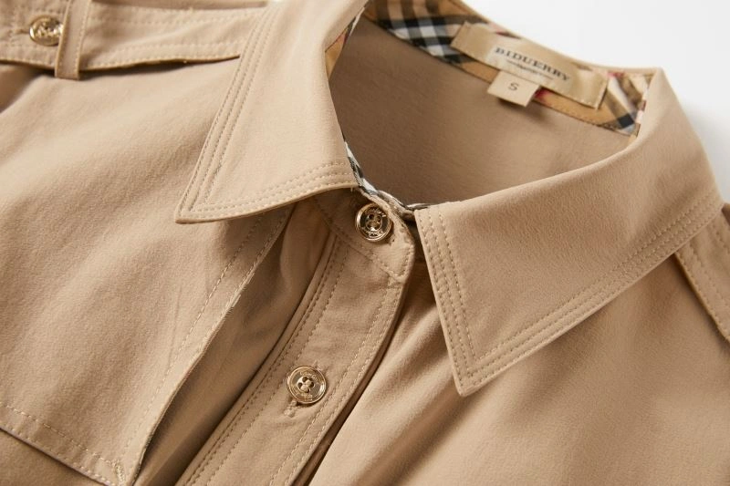 Seasonal Burberry Dress 104976