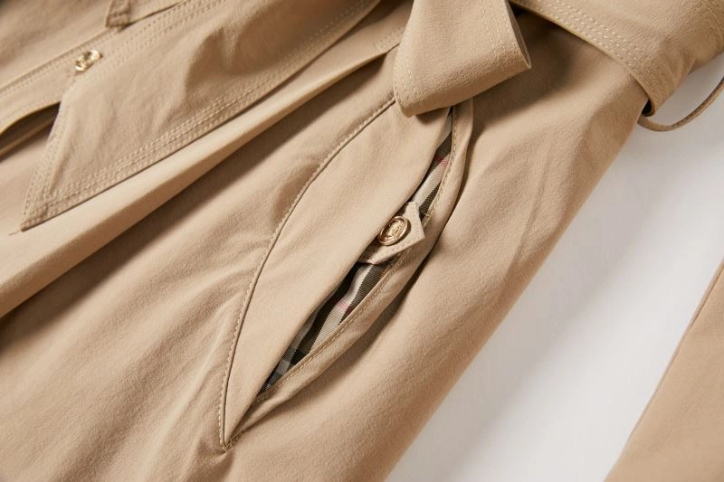 Seasonal Burberry Dress 104976