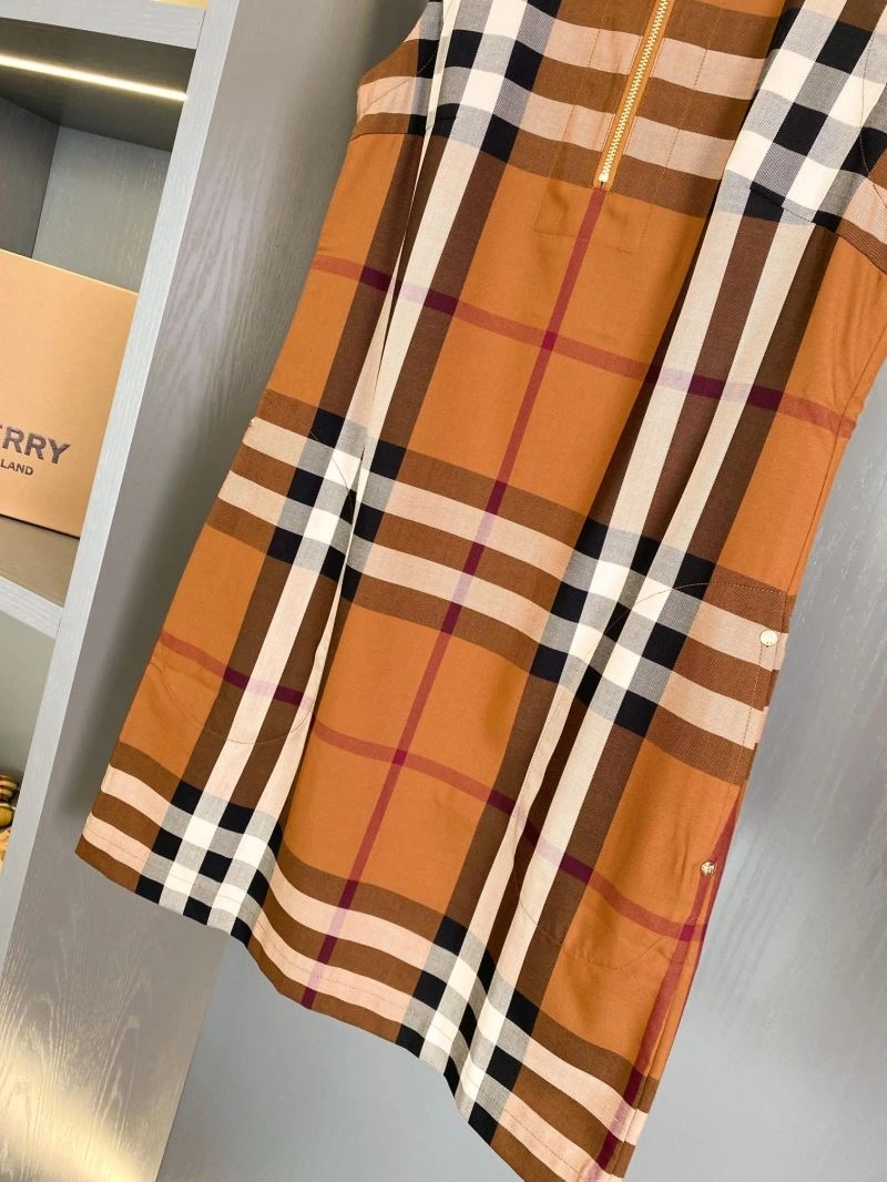 WrinkleFree Burberry Dress 104903