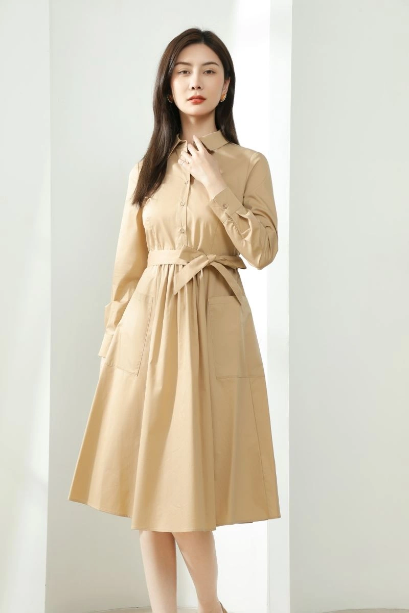 Versatile Burberry Dress 104798